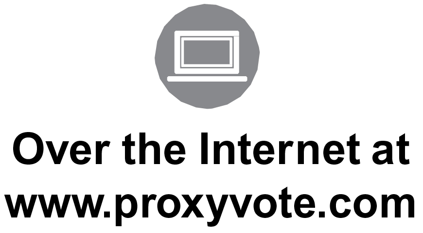 [MISSING IMAGE: tm2013061d1-icon_internetbw.jpg]